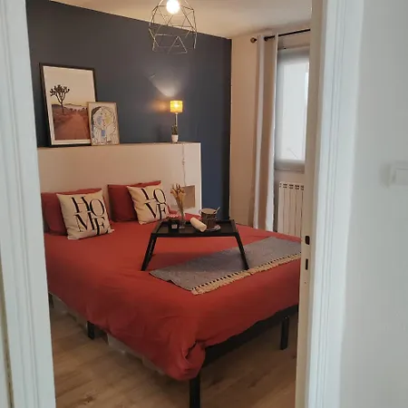 Les Cactus * Grisolles (Tarn-et-Garonne)