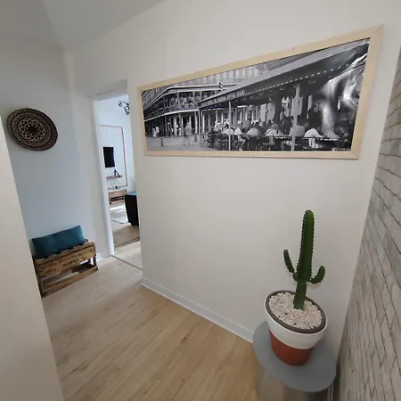 Les Cactus * Grisolles (Tarn-et-Garonne)