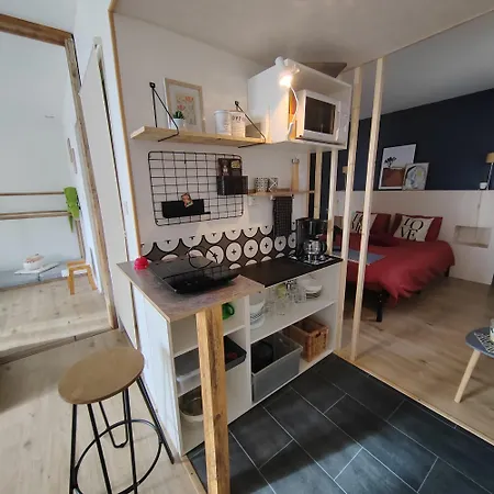 Les Cactus * Grisolles (Tarn-et-Garonne)