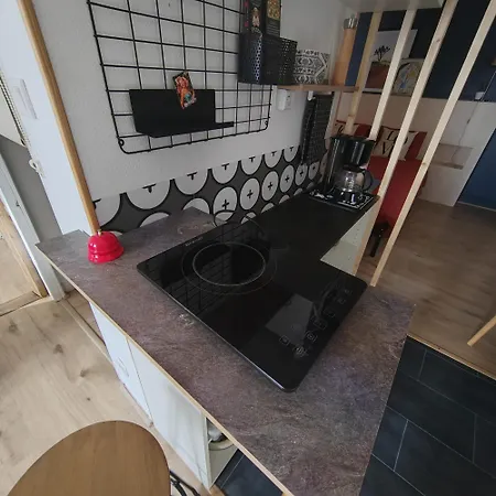 Privatunterkunft Les Cactus Grisolles (Tarn-et-Garonne)